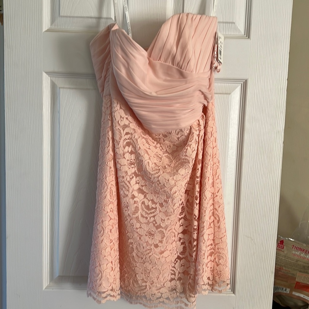 David’s Bridal Strapless Bridesmaid Dress